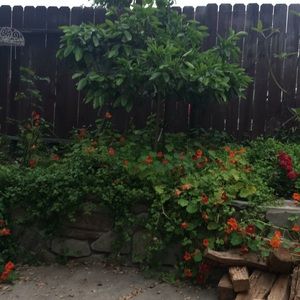 Meet your Posher, Valerie